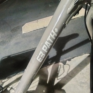 2014 IZIP E3 path+ Brown