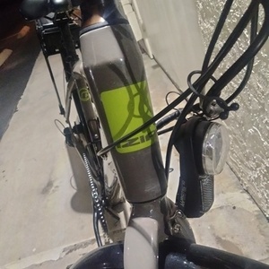 2014 IZIP E3 path+ Brown