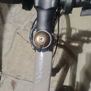 2014 IZIP E3 path+ Brown