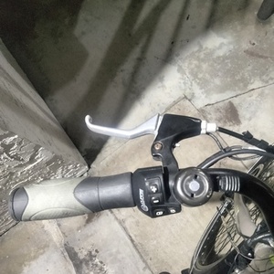 2014 IZIP E3 path+ Brown