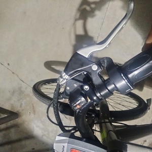 2014 IZIP E3 path+ Brown