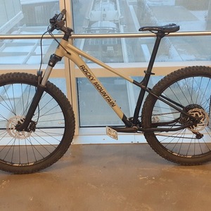 2020 Rocky Mountain Bicycles Growler 20 Silver, gray or bare metal and Black