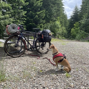 2020 Kona Rove ST Purple