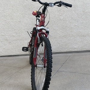 Schwinn SX2000 Red