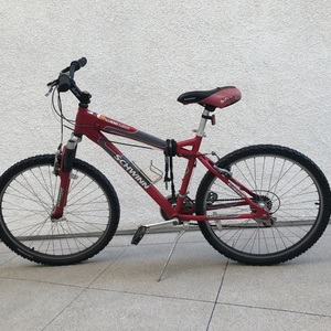 Schwinn SX2000 Red