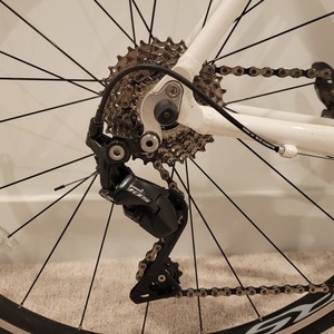 2022 Serotta Sport White