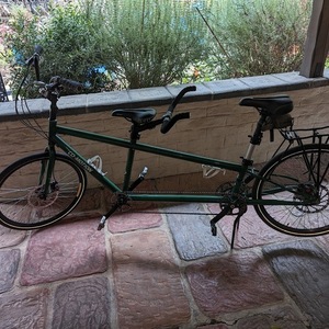 Co-Motion Green