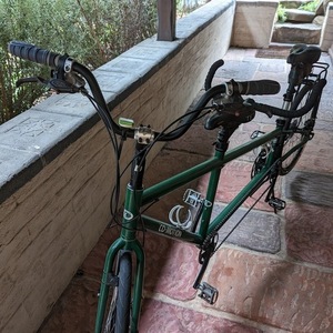 Co-Motion Green
