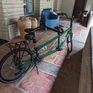 Co-Motion Green