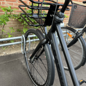 Batavus Shimano Nexus - 7 gear Black