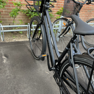 Batavus Shimano Nexus - 7 gear Black
