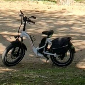 2021 Rad Power Bikes White
