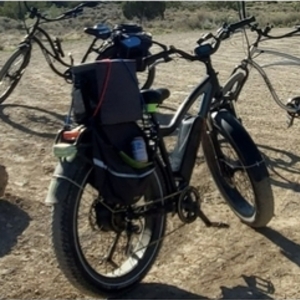 2021 Rad Power Bikes Black