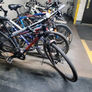 Specialized Blue