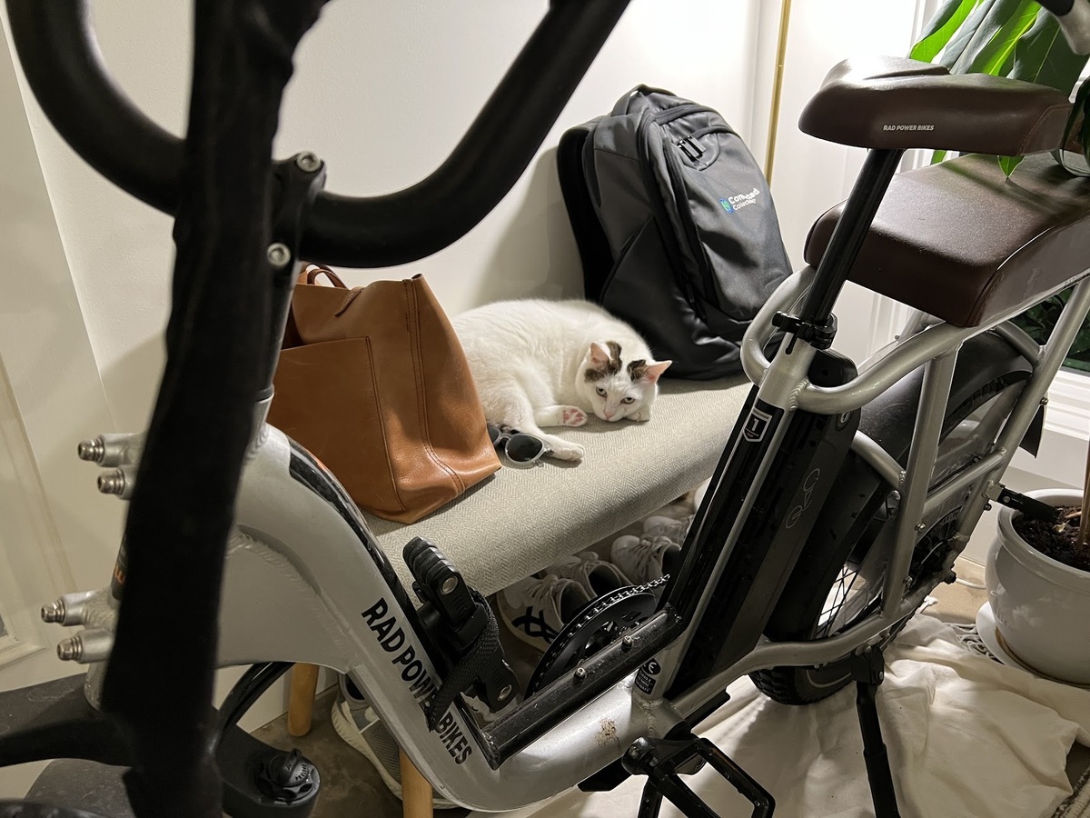 Bike photo