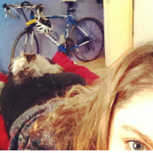 2011 Bianchi Via Nirone 7 105 Blue and White