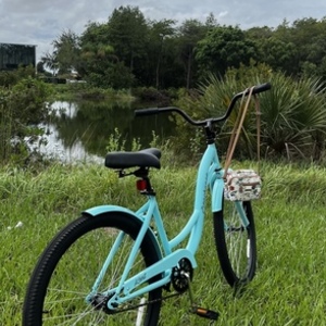 Kent Comfort &amp; Cruiser Teal