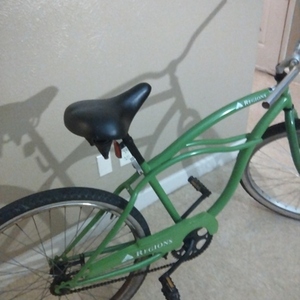 2007 Pacific Cycle Regions Special Edition Green