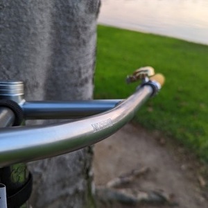 2010 Bianchi Pista Silver, gray or bare metal
