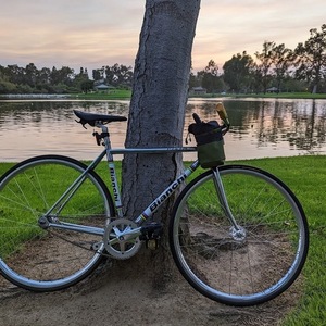 2010 Bianchi Pista Silver, gray or bare metal