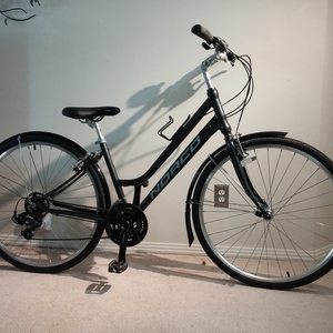 Norco Bikes 6061 alloy w/comfort stays &amp; internal... Black and Silver, gray or bare metal