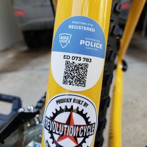 2022 SCOTT Roxter 26 Disc OneSize Yellow Yellow or Gold