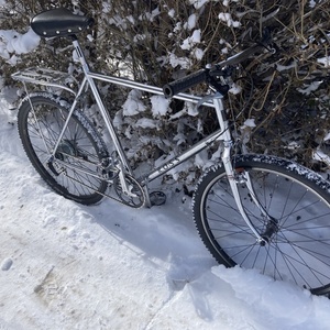 1983 Ross Mt. Whitney Silver, gray or bare metal