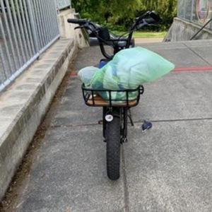 2020 Rad Power Bikes Rad Runner Black