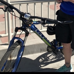 GT Bicycles Backwoods Blue