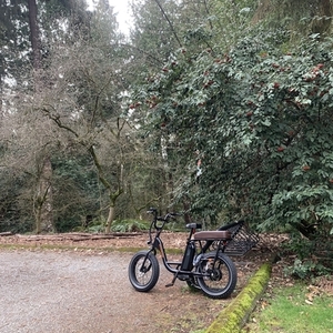 2021 Rad Power Bikes RadRunner 2 Black