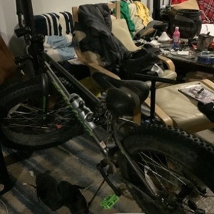 2021 Schwinn Mountain Silver, gray or bare metal and Green