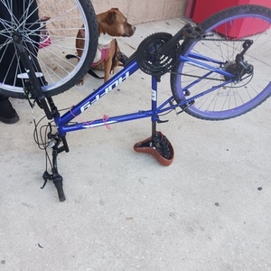 Huffy RC all terran Blue