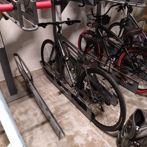 2019 Giant Silver, gray or bare metal