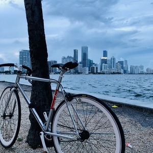 2012 Cooper Bikes T100 spa Silver, gray or bare metal