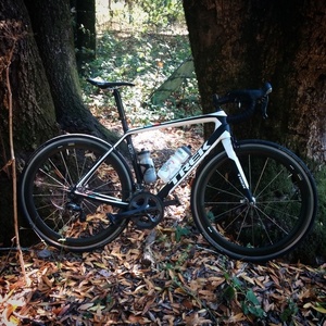 2014 Trek Madone 5.9 White and Black