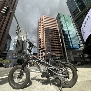 2023 Fucare Gemini X Silver, gray or bare metal