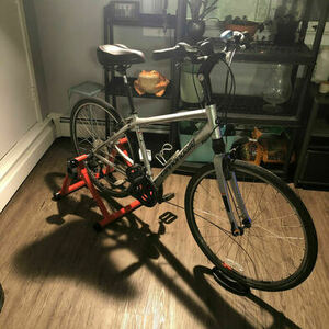 2015 Cannondale Adventure Silver, gray or bare metal