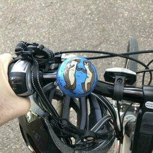 2015 Cannondale Adventure Silver, gray or bare metal