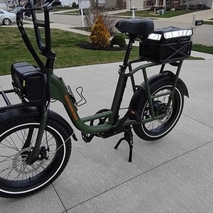 2020 Rad Power Bikes Radrunner 1 cargo bike (rear storage) Green