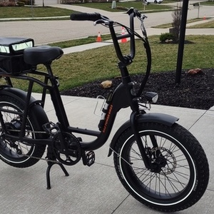 2020 Rad Power Bikes Radrunner 1 cargo bike (rear storage) Black