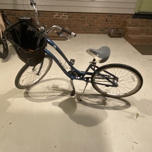 2010 Trek Pure Deluxe Lowstep Blue and Green