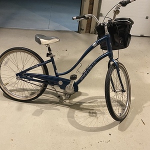 2010 Trek Pure Deluxe Lowstep Blue and Green