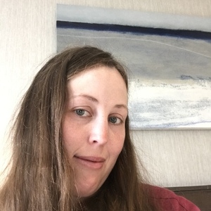 2010 Trek Pure Deluxe Lowstep Blue and Green