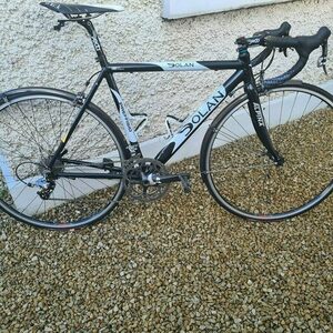 Dolan Preffisio Black