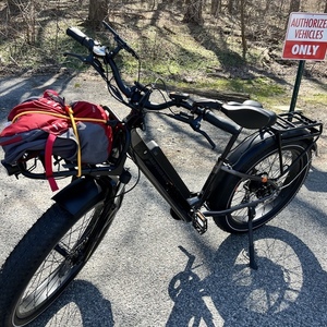 2021 Rad Power Bikes RadRover ST V6 Plus e-scooter Black