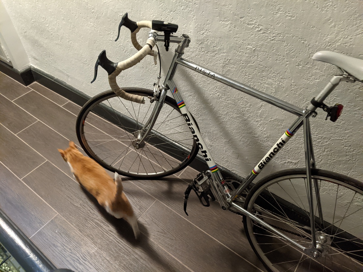 Bike photo