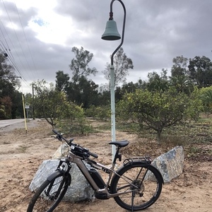 2021 Cannondale Tesoro Neo X1 (Large) Brown and Silver, gray or bare metal