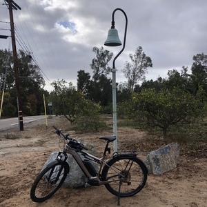 2021 Cannondale Tesoro Neo X1 (Large) Brown and Silver, gray or bare metal