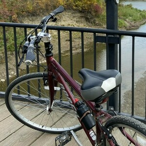 Norco Bikes VFR6 Purple