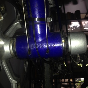 Bianchi Brava Purple